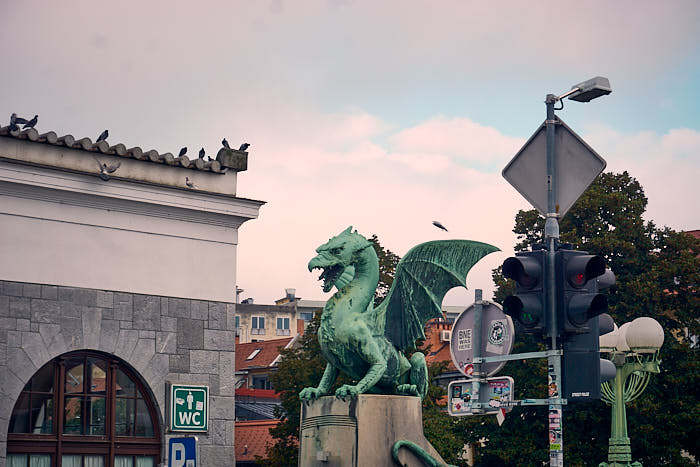 Ansicht Drache Drachenbrücke Ljubljana