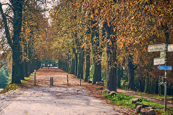 Burghügel Spaziergang