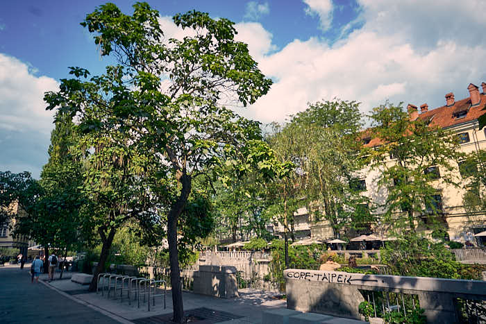 Ufer Ljubljanica